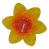 Clematis Flower Floating Silicone Candle Mould SL364, Niral Industries