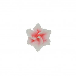 Champa Blossom on Base Silicone Mould SL255, Niral Industries