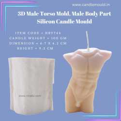 Male Torso Mold, Male Body...