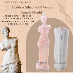 Goddess Silicone Of Venus...