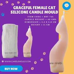 Graceful Cat silicone...