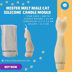 Mister Melt Silicone candle...