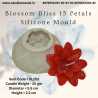 Blossom Bliss 15 Petals Silicone Mould SL253, Niral Industries