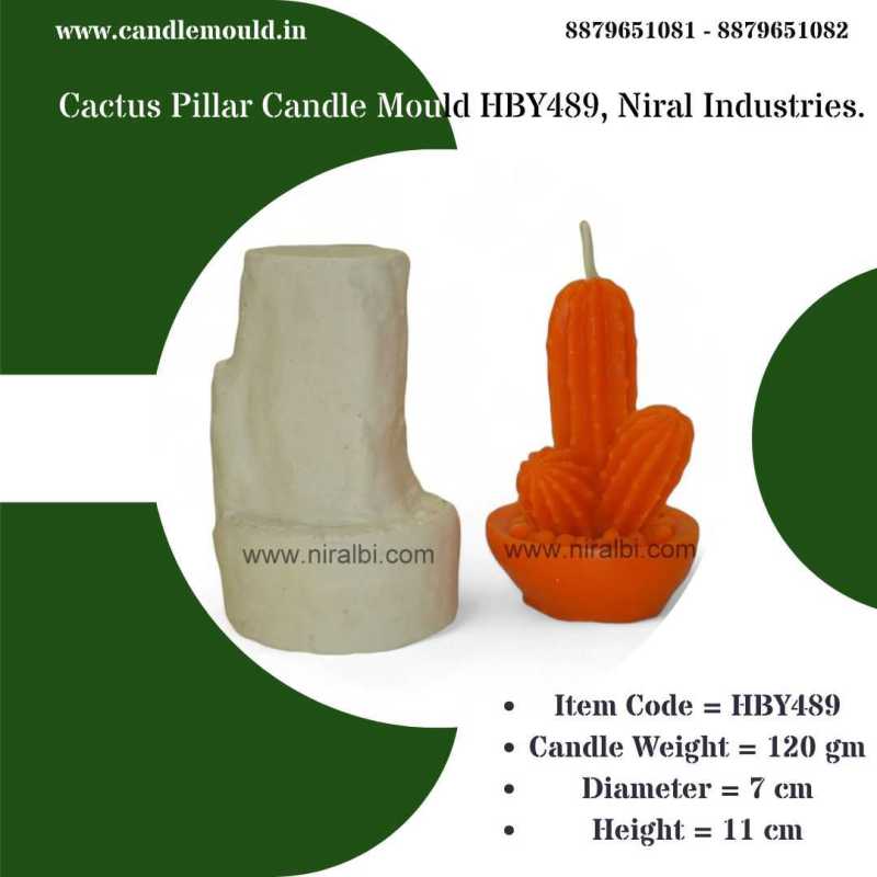 Cactus Pillar Candle Mould HBY489, Niral Industries.