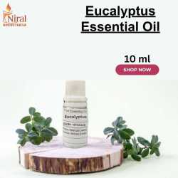 Eucalyptus Essential Oil, Niral Industries