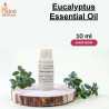 Eucalyptus Essential Oil, Niral Industries
