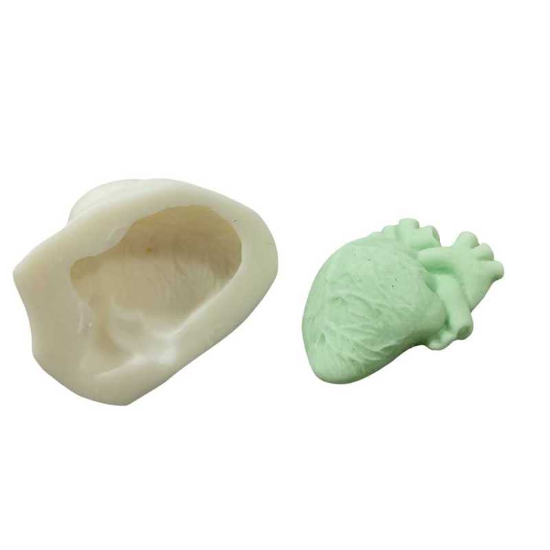 Human Heart Mould, HBY1034