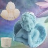 Cute Angel with Wings Silicone Mould HBY839, Niral Industries