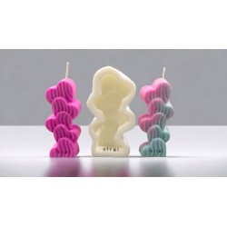 Cactus Love Heart Candle Silicone Mould HBY847, Niral Industries