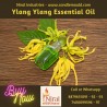 Ylang Ylang Essential Oil, Niral Industries