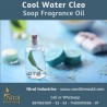 Niral's Cool Water Cleo Soap Fragrance Oil